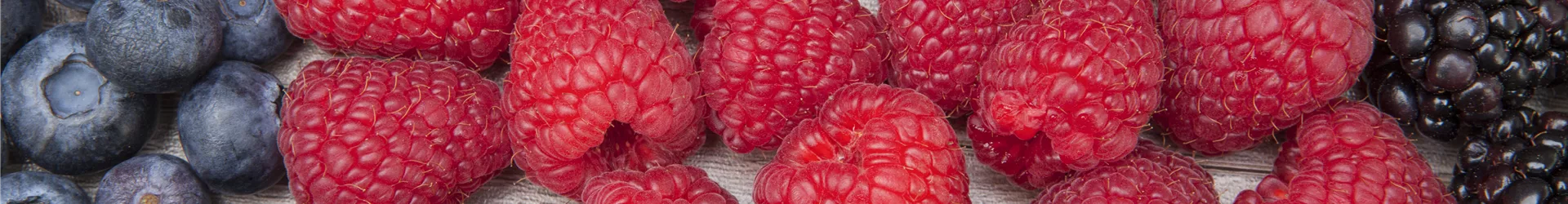 Rubus idaeus Rubus idaeus