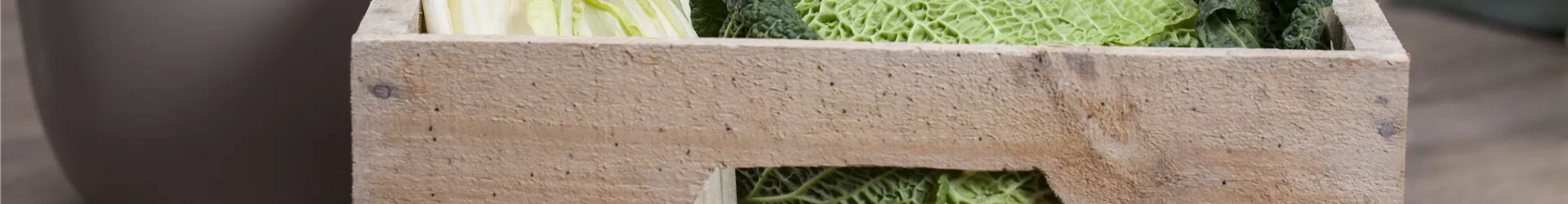 Brassica oleracea var. capitata var. sabauda