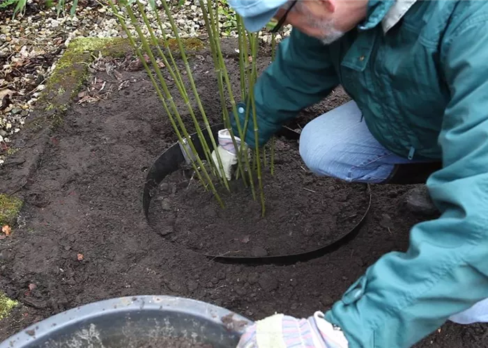 Pflanz- und Pflegearbeiten Pflanz- und Pflegearbeiten