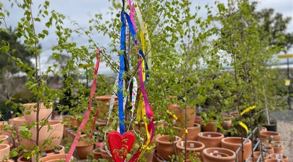 1. Mai Maibaum.jpg