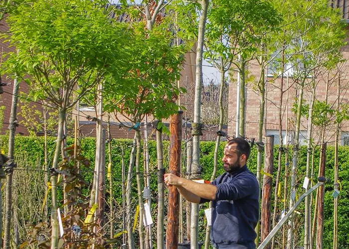 Azubi zum Gärtner/in Fachrichtung Pflanzenfachberater (m/w/d)