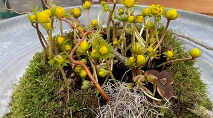 Frühjahr Deko bepflanzt.jpg