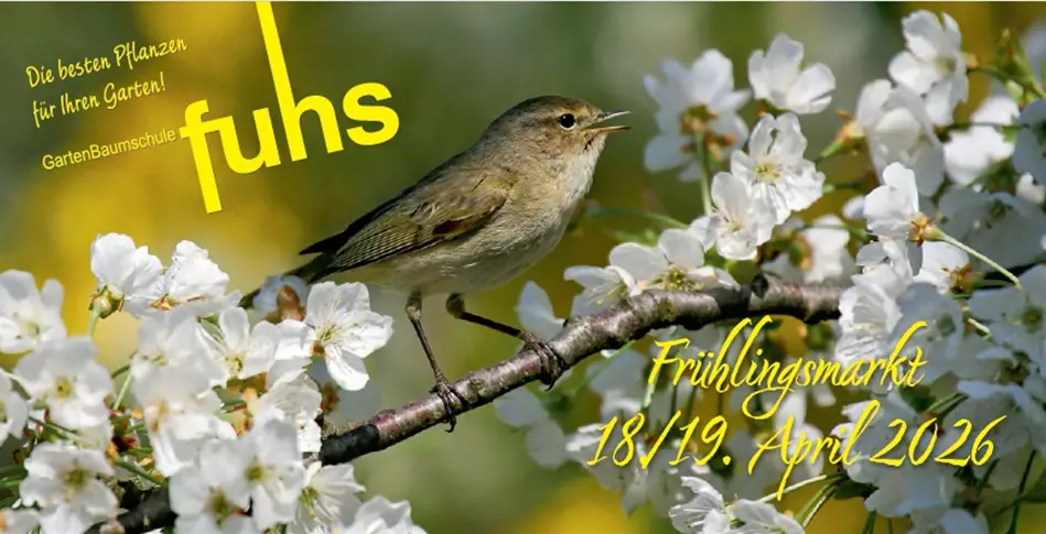 Frühlingsmarkt 2026.jpg