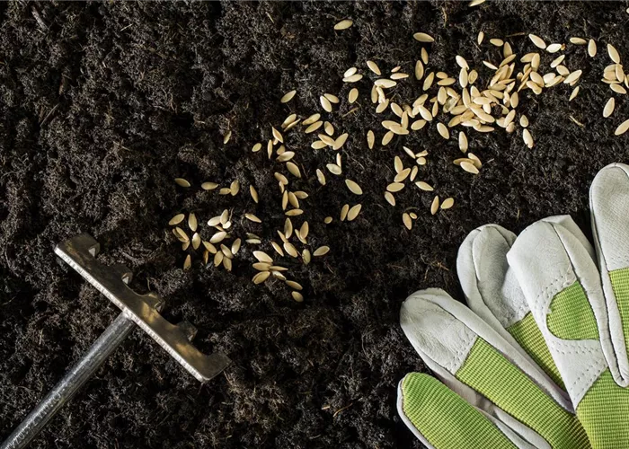 Ausbildung Ausbildung