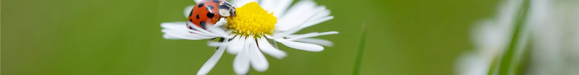 2019-9-20.15-35.GS627239 2019-9-20.15-35.GS627239