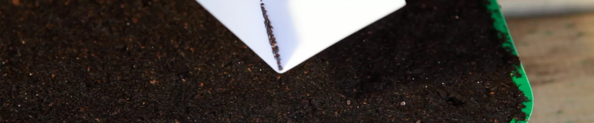 Lavendel - Aussäen von Samen (thumbnail) Lavendel - Aussäen von Samen (thumbnail)