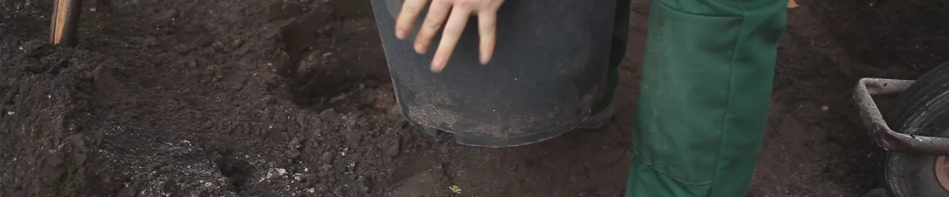 Hainbuche - Einpflanzen im Garten (thumbnail) Hainbuche - Einpflanzen im Garten (thumbnail)