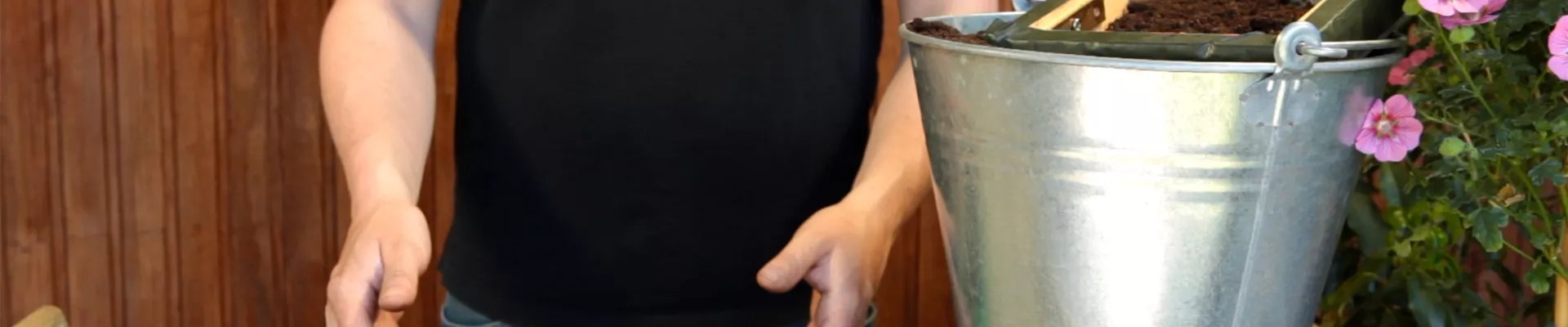 Fingerhut - Aussäen von Samen (thumbnail)