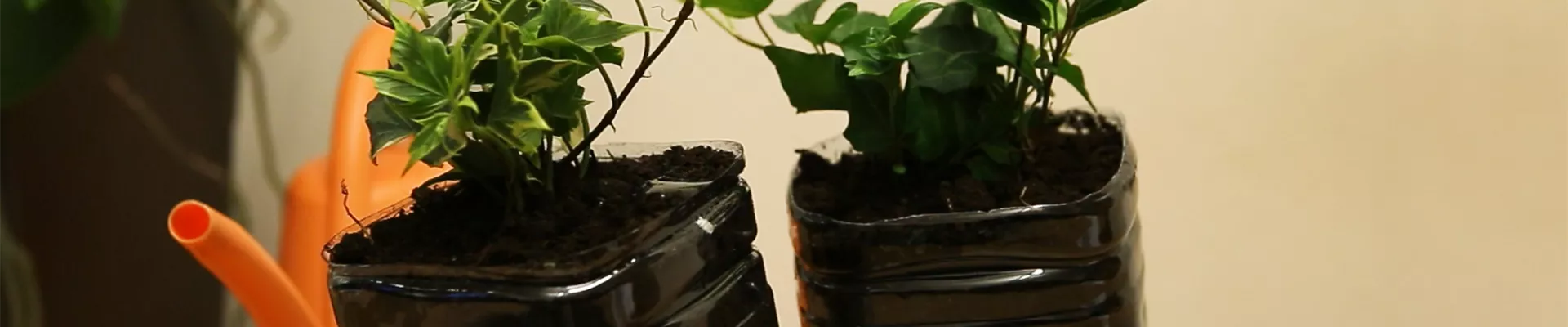 DIY Urlaubsbewässerung (thumbnail)