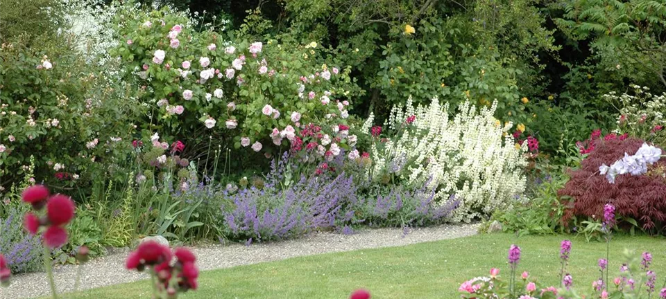 Aller Anfang ist (nicht) schwer - der erste eigene Garten