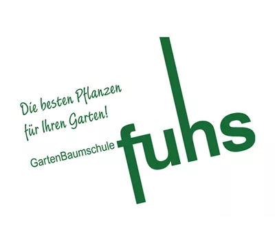 Carex oshim. EverColor 'Everest' -R- Carex oshim. EverColor 'Everest' -R-