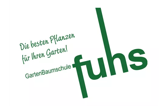 Camellia japonica 'Shiragiku' Camellia japonica 'Shiragiku'