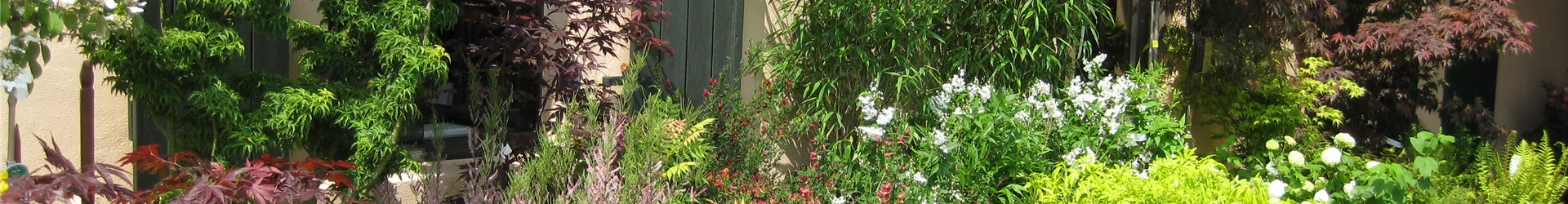 OnlineShopfPlanzen2 OnlineShopfPlanzen2