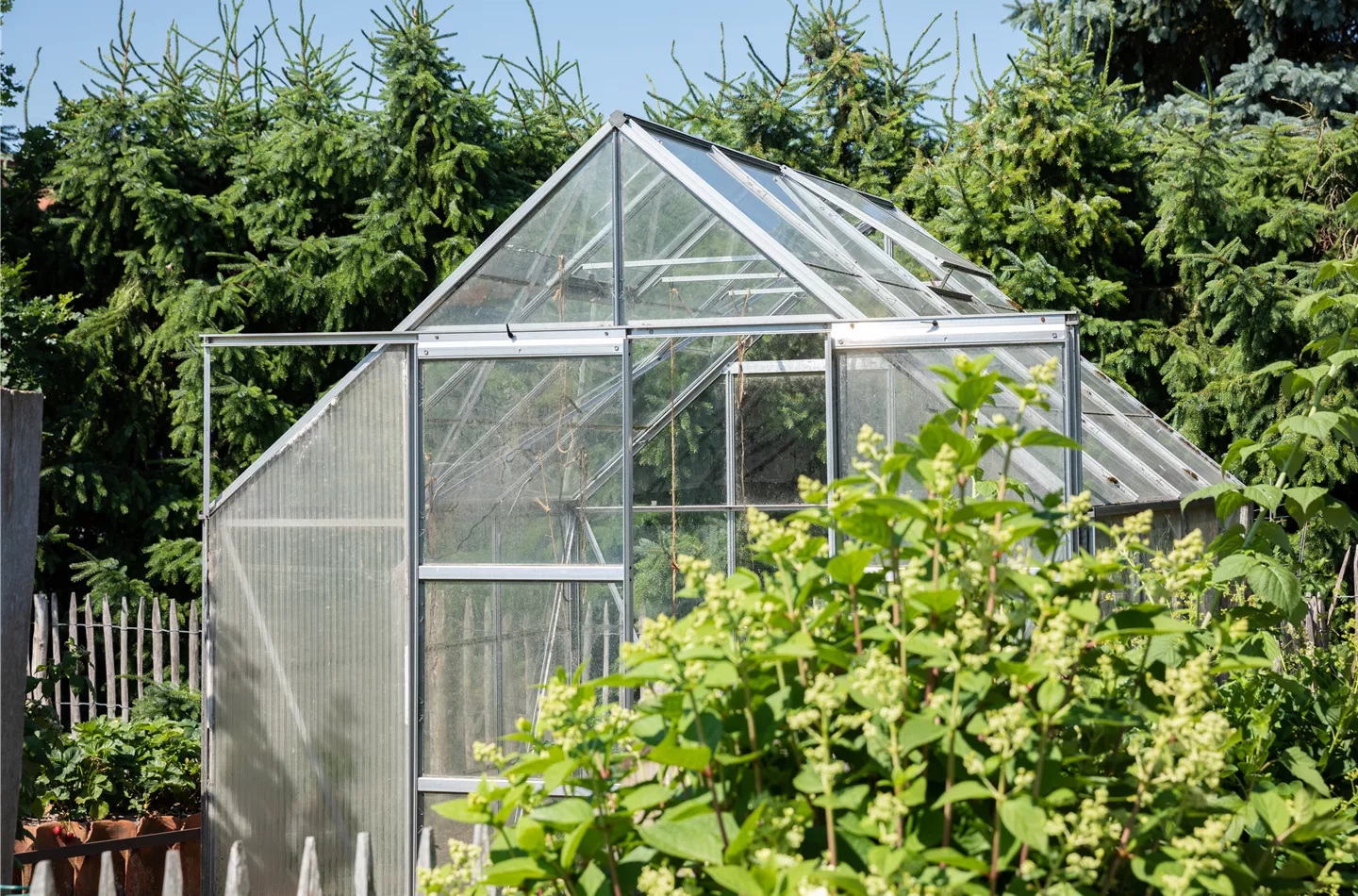 Ein Gewächshaus anlegen