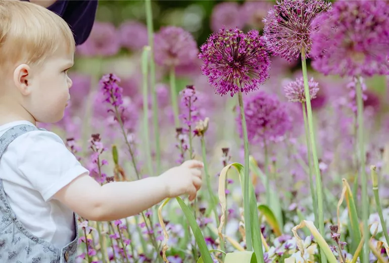 Kleiner Junge im Garten Kleiner Junge im Garten