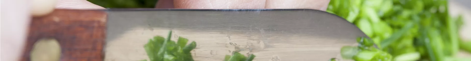 Allium schoenoprasum Allium schoenoprasum