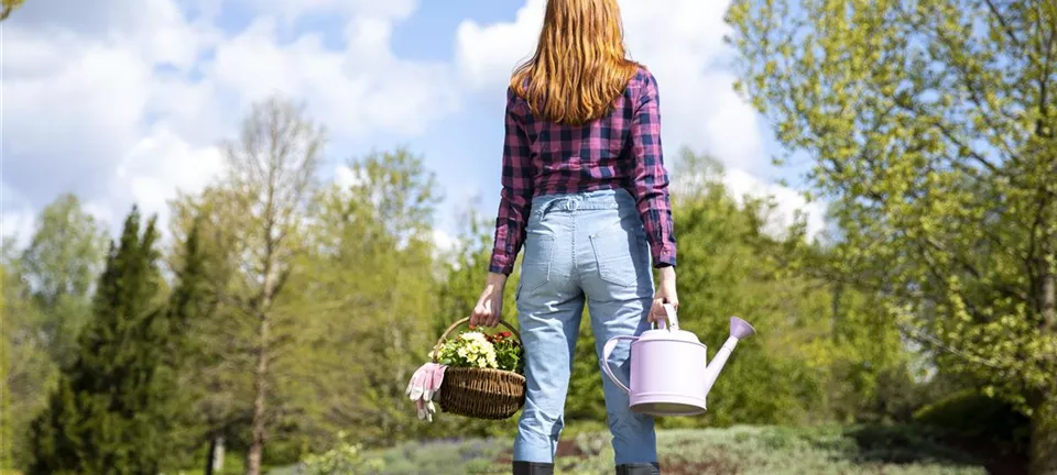 Alles auf Anfang – ein Blumenbeet anlegen