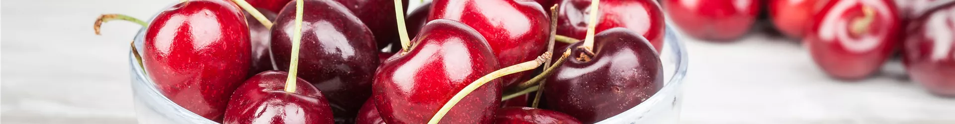 Prunus avium Prunus avium