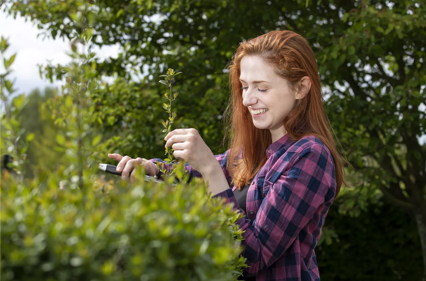 Diese Arbeiten sind jetzt im Garten noch nötig Diese Arbeiten sind jetzt im Garten noch nötig