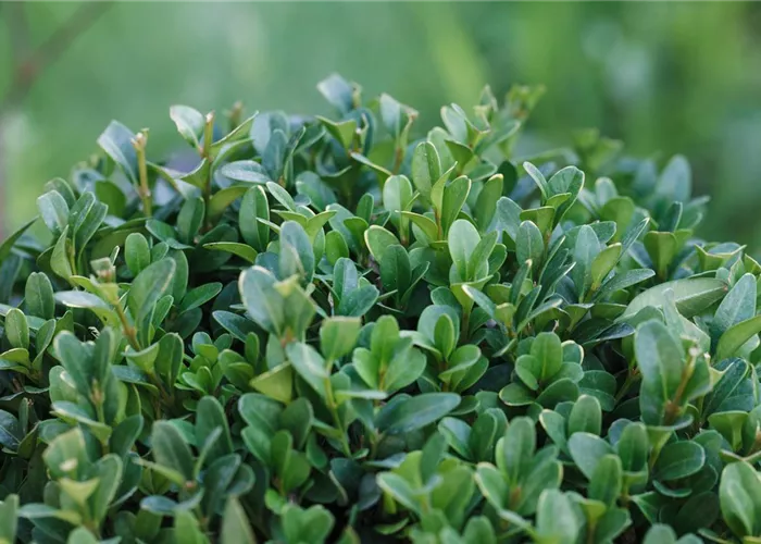 Beratung und Planung Beratung und Planung