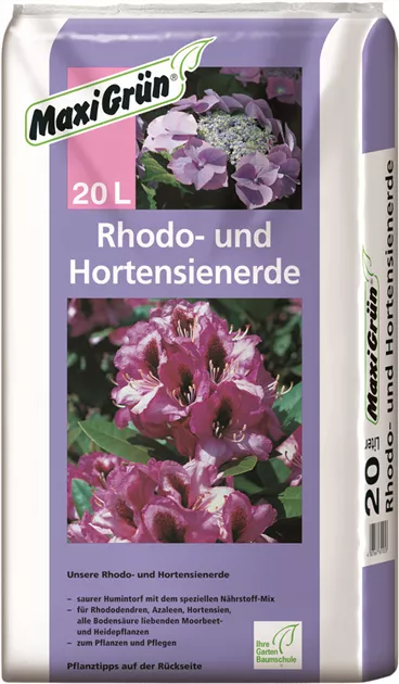 rhododendron senker Ken Janeck Rhododendron | Pink Spring Blooms main image 1