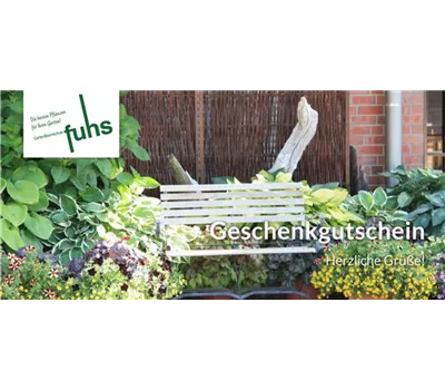 Individueller Gutschein Individueller Gutschein