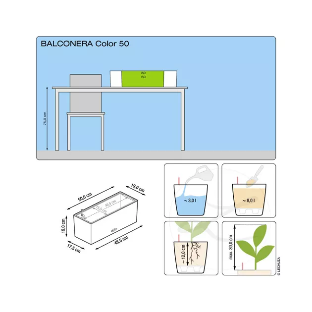 LECHUZA Balconera 50 - GartenBaumschule Fuhs