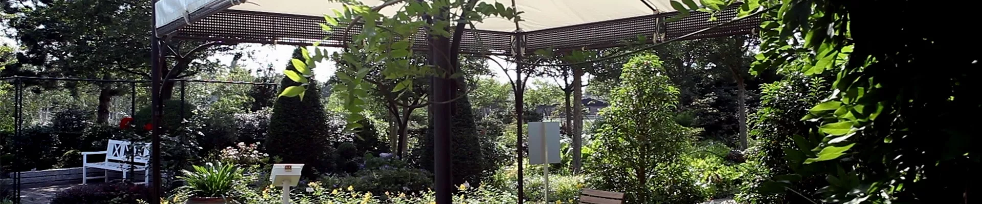 Gartengestaltung - Mediterraner Garten (thumbnail) Gartengestaltung - Mediterraner Garten (thumbnail)