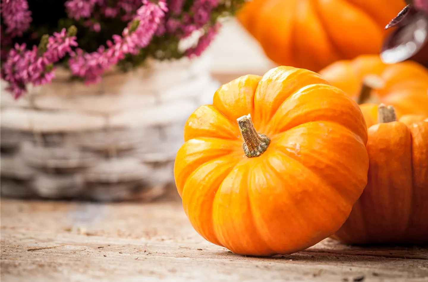 Der Nutzgarten: Selbstbedienung im eigenen Beet